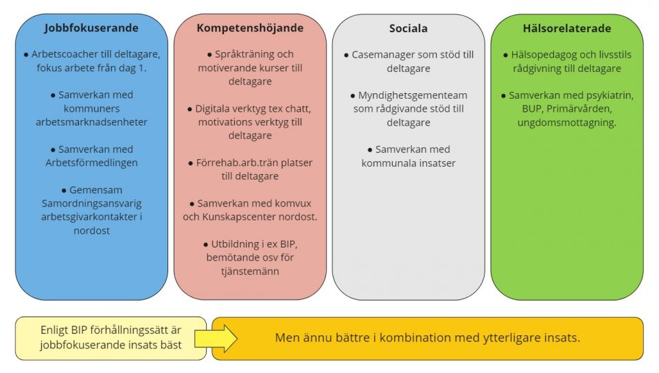 Jobbfokuserande: 
●Arbetscoacher till deltagare, fokus arbete från dag 1.
●Samverkan med kommuners arbetsmarknadsenheter
●Samverkan med Arbetsförmedlingen
●Gemensam Samordningsansvarig arbetsgivarkontakter i nordost

Kompetenshöjande:
●Språkträning och motiverande kurser till deltagare

●Digitala verktyg tex chatt,  motivations verktyg till deltagare

●Förrehab.arb.trän platser till deltagare

●Samverkan med komvux och Kunskapscenter nordost.

●Utbildning i ex BIP, bemötande osv för tjänstemänn

Sociala:
●Casemanager som stöd till deltagare

●Myndighetsgementeam som rådgivande stöd till deltagare

●Samverkan med kommunala insatser

Hälsorelaterade:
●Hälsopedagog och livsstils rådgivning till deltagare

●Samverkan med psykiatrin, BUP, Primärvården, ungdomsmottagning

Enligt BIP förhållningssätt är jobbfokuserande insats bäst men det är ännu bättre i kombination med ytterligare insats.